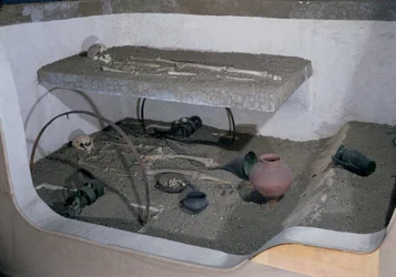 Grav av en gallisk hövding begravd med sin vagn och sin vagnförare, från La Gorge-Meillet, Somme-Tourbe, Tene I (se även 242427)